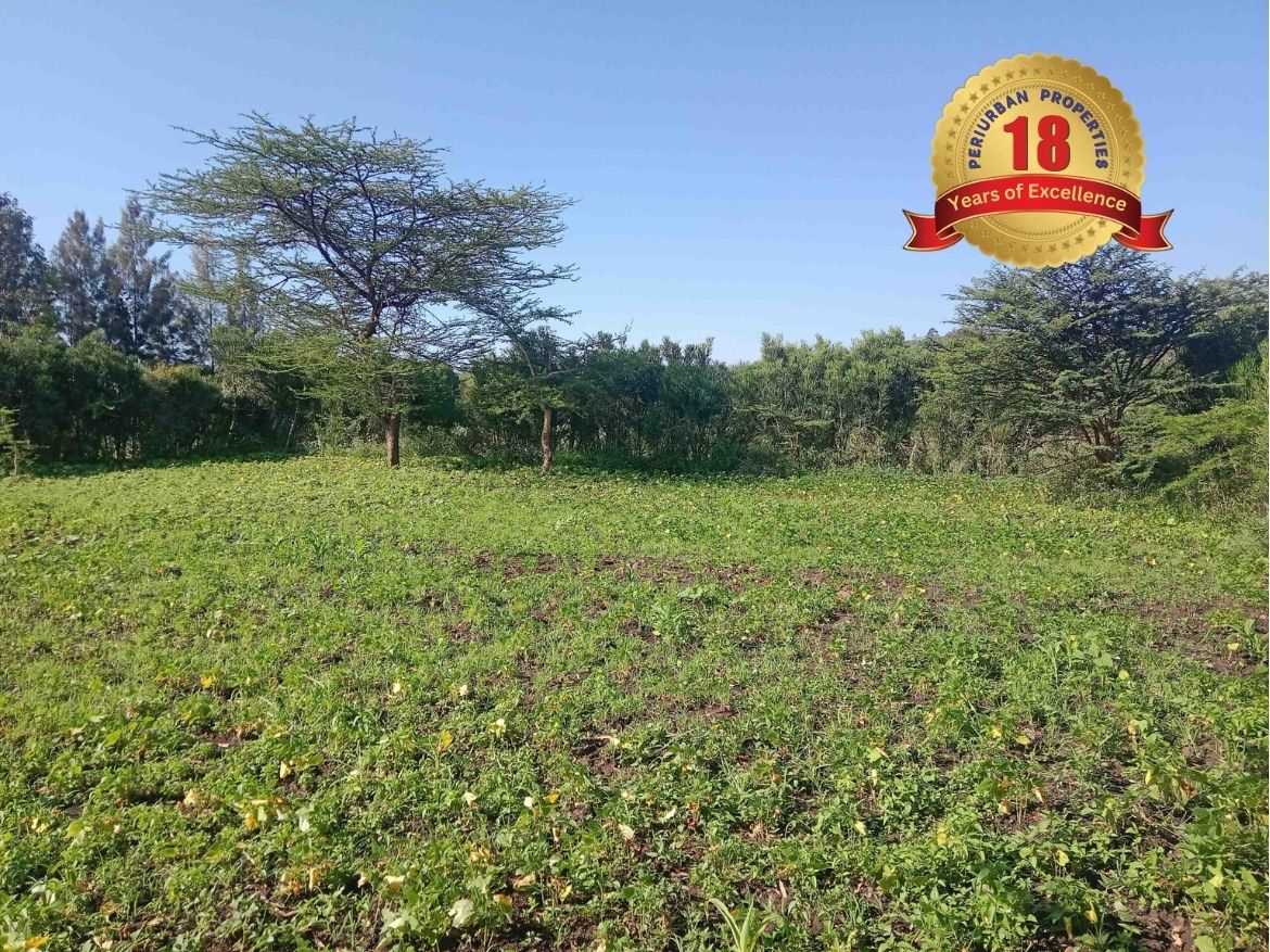 A plot/land in Kiserian with green vegetation, acacia tree and a blue skyline