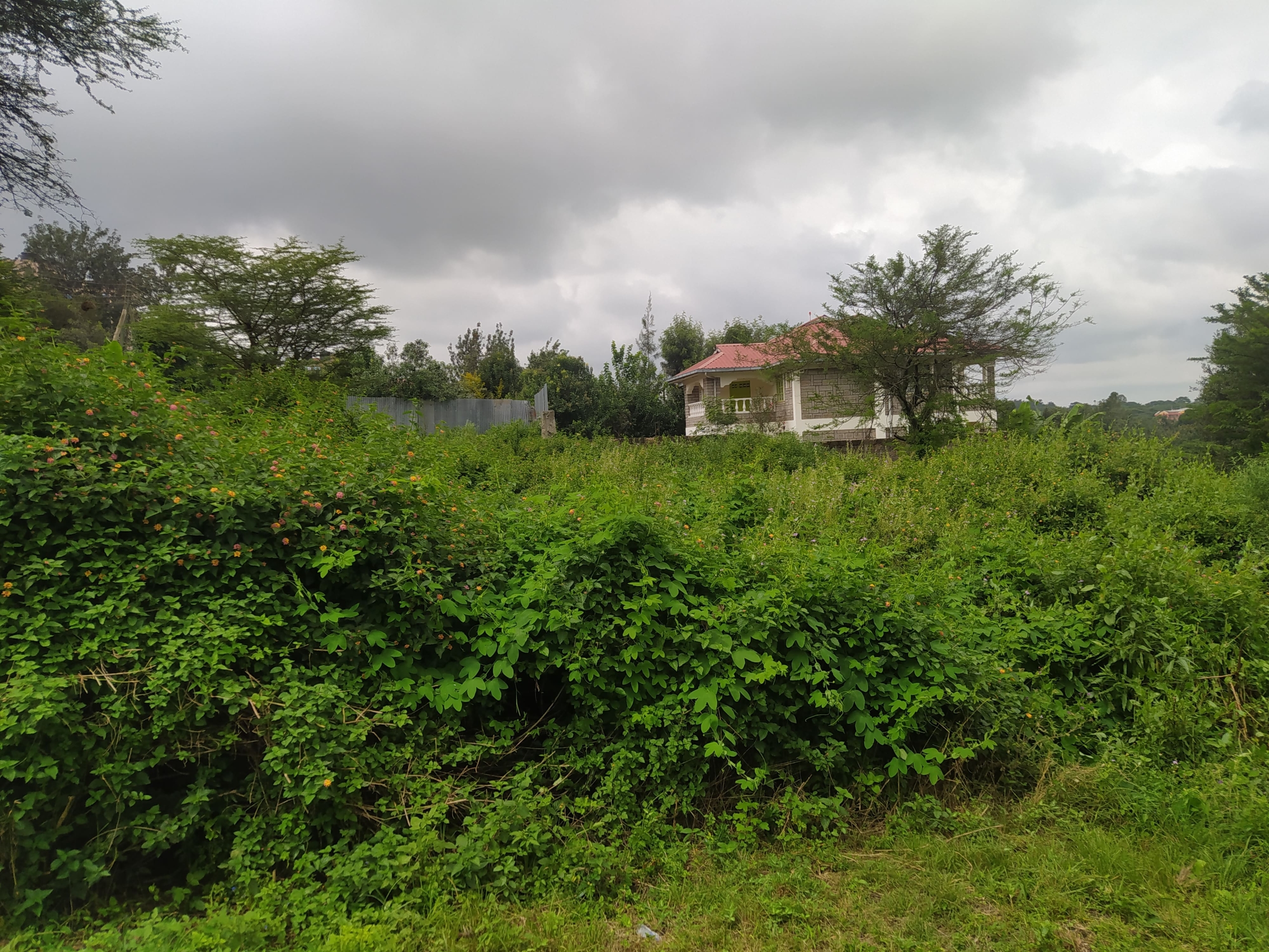 Land for Sale Kenya